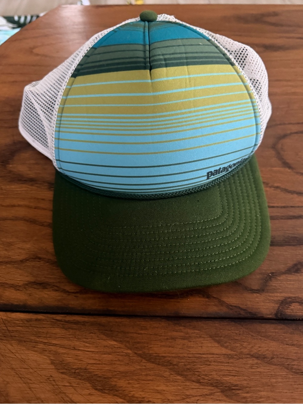 Patagonia Striped Trucker Hat - Olive Green, Teal, Yellow